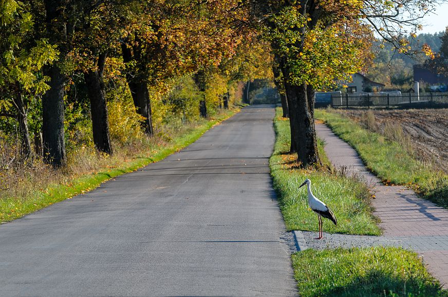 Dokąd jechać jesienią? Plusy jesiennego caravaningu 7